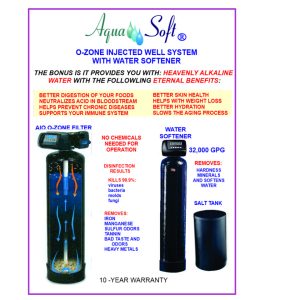 Ozone Injected Well System